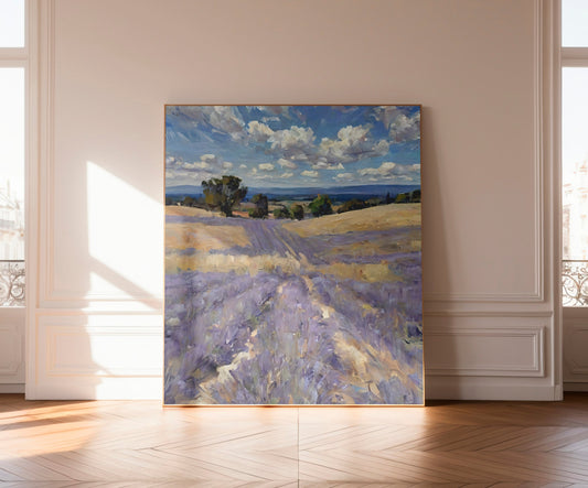 Lavender fields